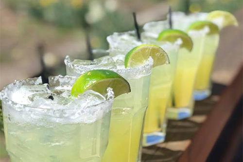 Roberto's Margarita Wednesday Roberto's Margarita Wednesday